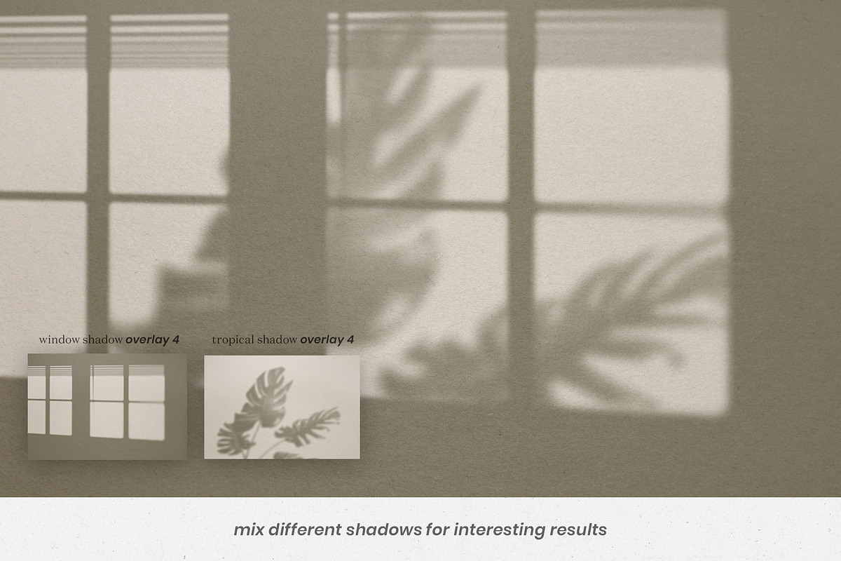 Tropical & Window Shadow Overlay, a Product Mockup by Lifestyle Project (Photo 6 of 9)
