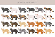 Domestic shorthair cat, an Animal Illustration by pet design shop (Thumbnail 2 of 6)