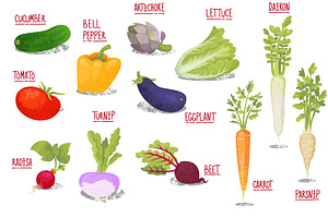 Vector Vegetables