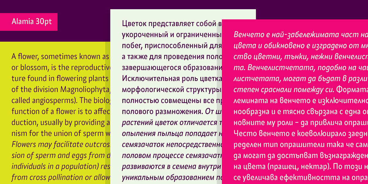 Alamia, a Sans Serif Font by Ani Dimitrova (Photo 10 of 12)