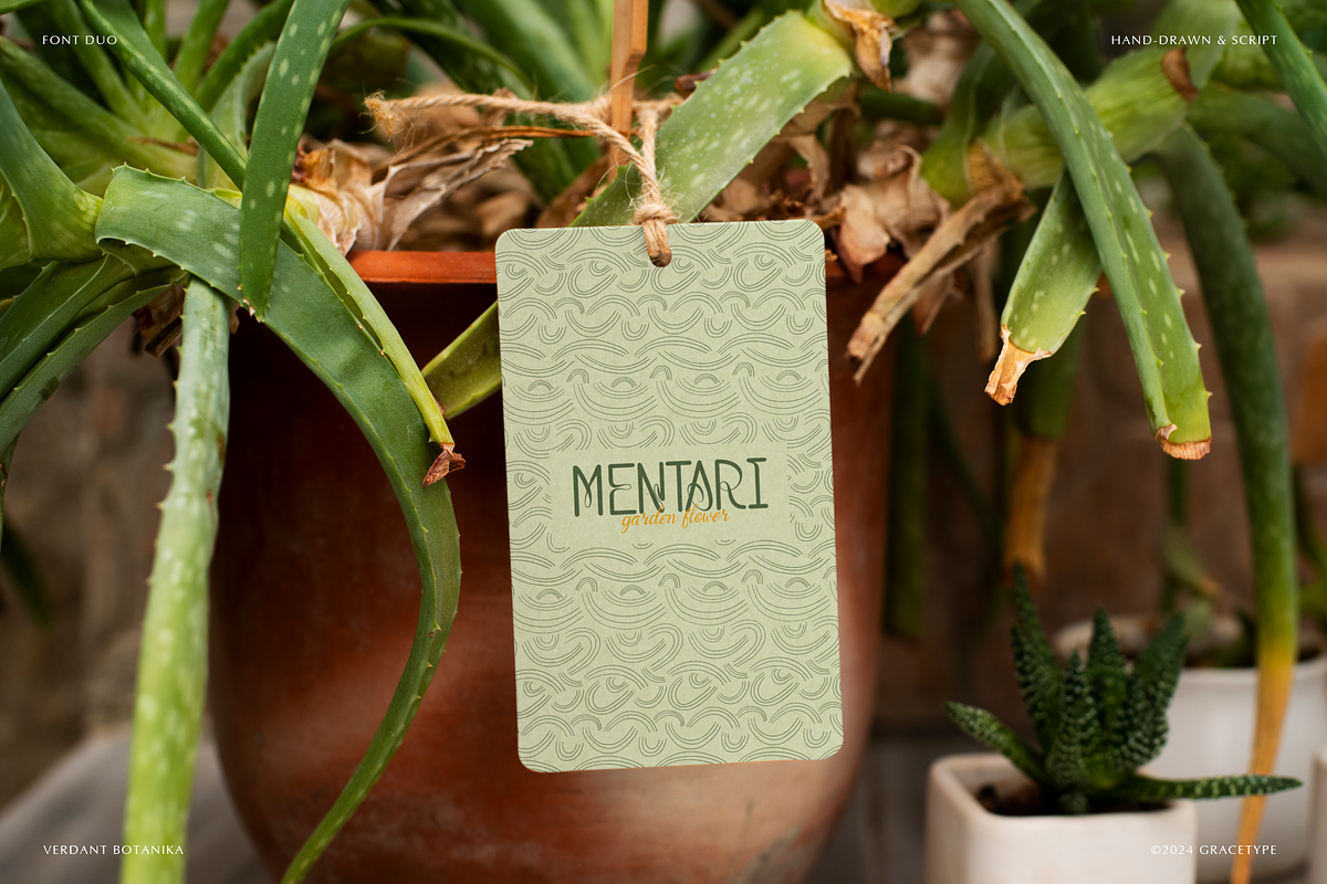 Verdant Botanika | Hand Drawn Script, a Handwritten Font by gracetype_studio (Photo 7 of 12)