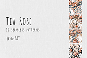 Tea Rose - Floral Patterns, a Pattern Graphic by Art Sproot (Thumbnail 1 of 8)
