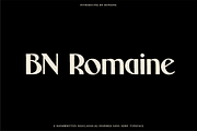 The Diverse Font Bundle, a Sans Serif Font by Bnick (Thumbnail 14 of 34)