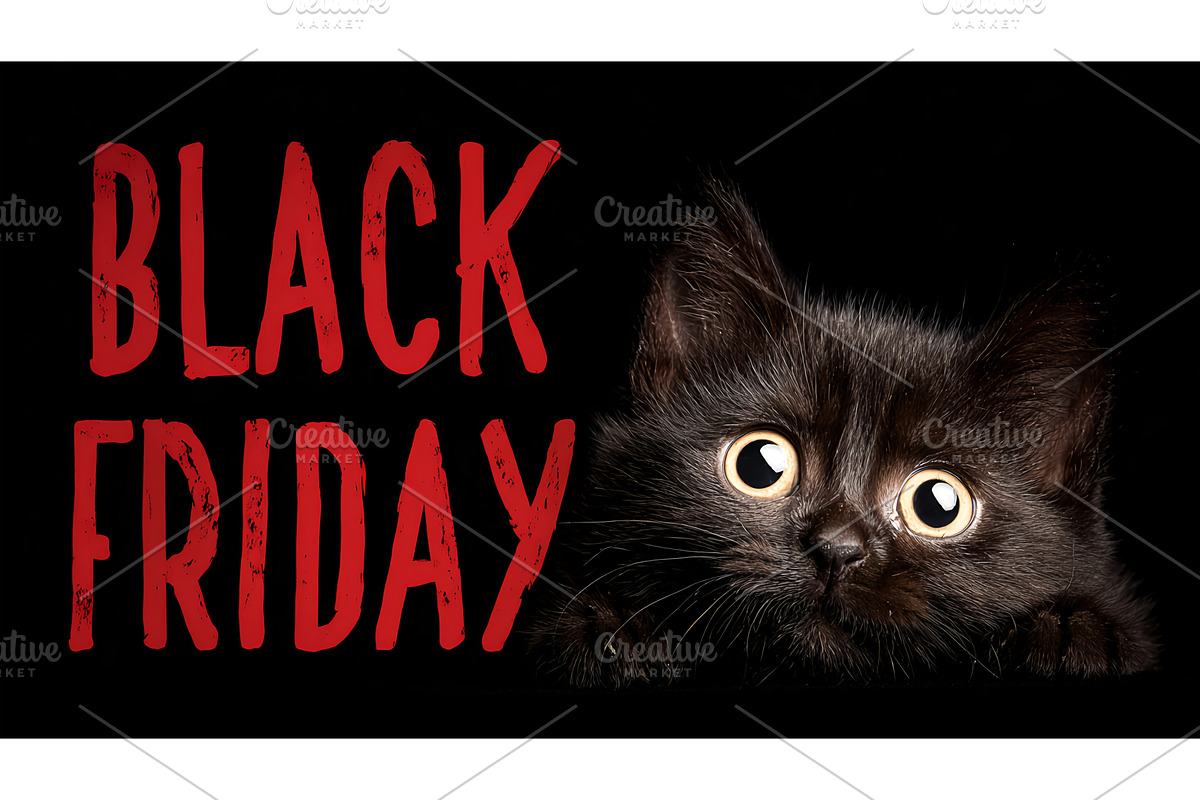 An adorable and surprised Black Cat, an Object Illustration by Lukas Jonaitis SHOP