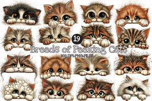 Breeds of Peeking Cats New Clipart, a Seasonal Illustration by Designworld