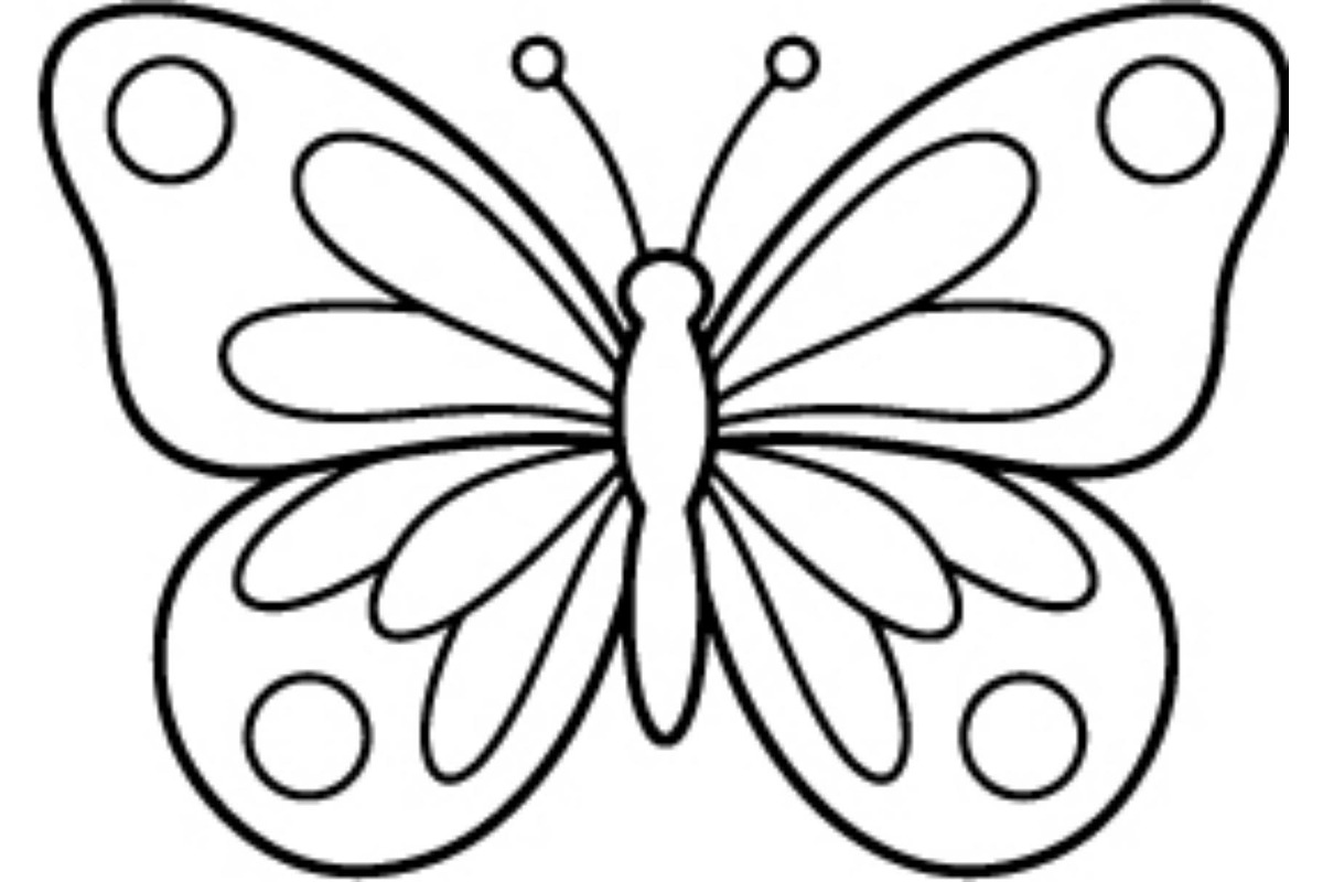 Butterfly SVG Bundle, an Object Graphic by Gfx_Store (Photo 12 of 16)