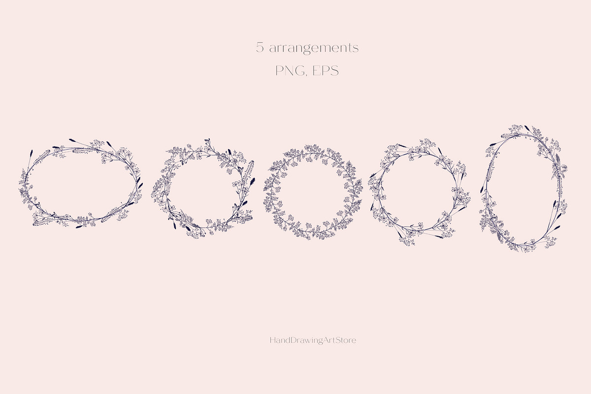 Wildflower and Insect collection, an Illustration by Hand drawn Boutique (Photo 5 of 7)
