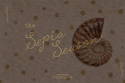The Sepia Season Editorial Textures, a Texture Graphic by nadispasibenko (Thumbnail 3 of 10)