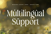 Bokeh - Luxury Logo Font, a Serif Font by Sensatype (Thumbnail 12 of 12)