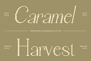 Chavler Disco, a Serif Font by Craft Supply Co. (Thumbnail 2 of 8)