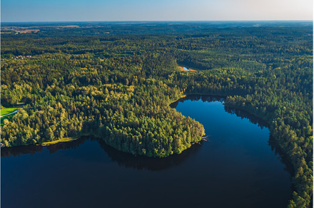 Aerial view of wild forest lake in, a Nature Photo by Lukas Jonaitis SHOP