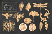 Whole Shop 9000+ Graphics Bundle, a Background Graphic by Blixa 6 Studios (Thumbnail 24 of 26)