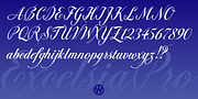 Excelsia Pro, a Script Font by Wiescher-Design (Thumbnail 5 of 11)