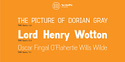TWS Savory, a Sans Serif Font by Ten Waffle Studio (Thumbnail 4 of 4)
