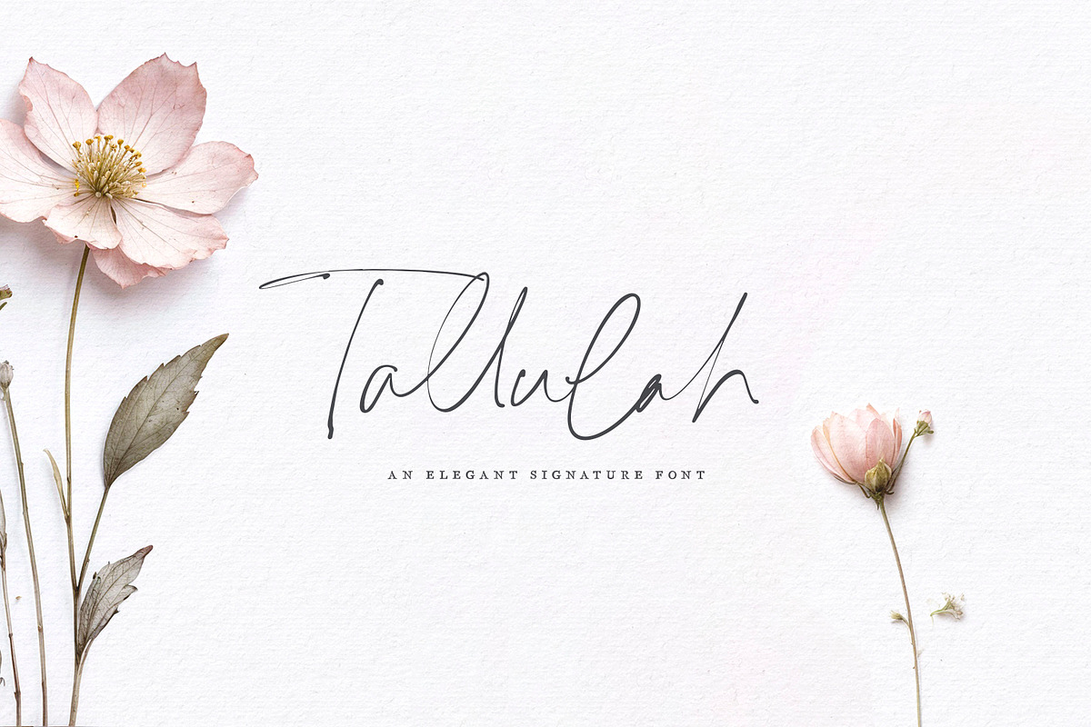Tallulah Signature Script, a Script Font by Callie Rian & Co. (Photo 1 of 17)