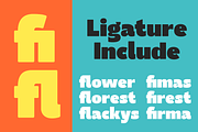 Chonkyo - Bold Display Sans Serif, a Sans Serif Font by Brand_Hero (Thumbnail 12 of 13)