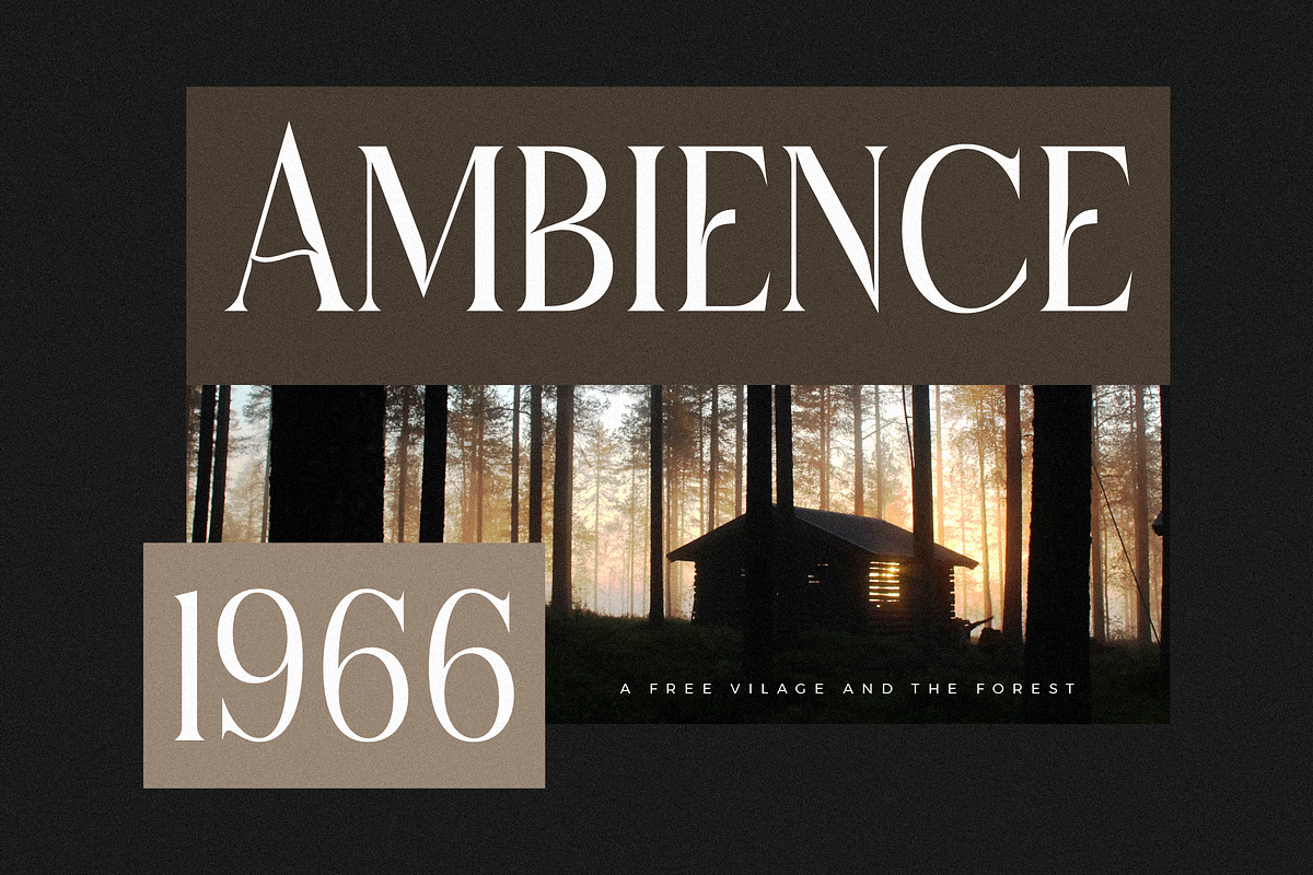 Micksenav Display Serif Font, a Serif Font by Storytype Studio (Photo 6 of 15)