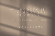 Miras Elegant Serif Font, a Serif Font by Graphicxell (Thumbnail 7 of 8)