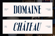 CS Diploma Drawn, a Serif Font by Craft Supply Co. (Thumbnail 3 of 8)