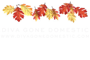 Styled Fall Autumn Stock Photo