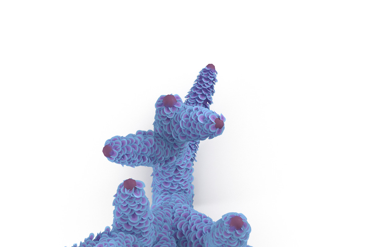 Seaweed, an Environmental 3D Model by AndrewWhite (Photo 3 of 9)