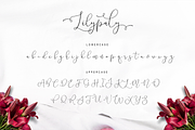Lilypaly - Handlettering Font, a Script Font by Sronstudio (Thumbnail 14 of 19)
