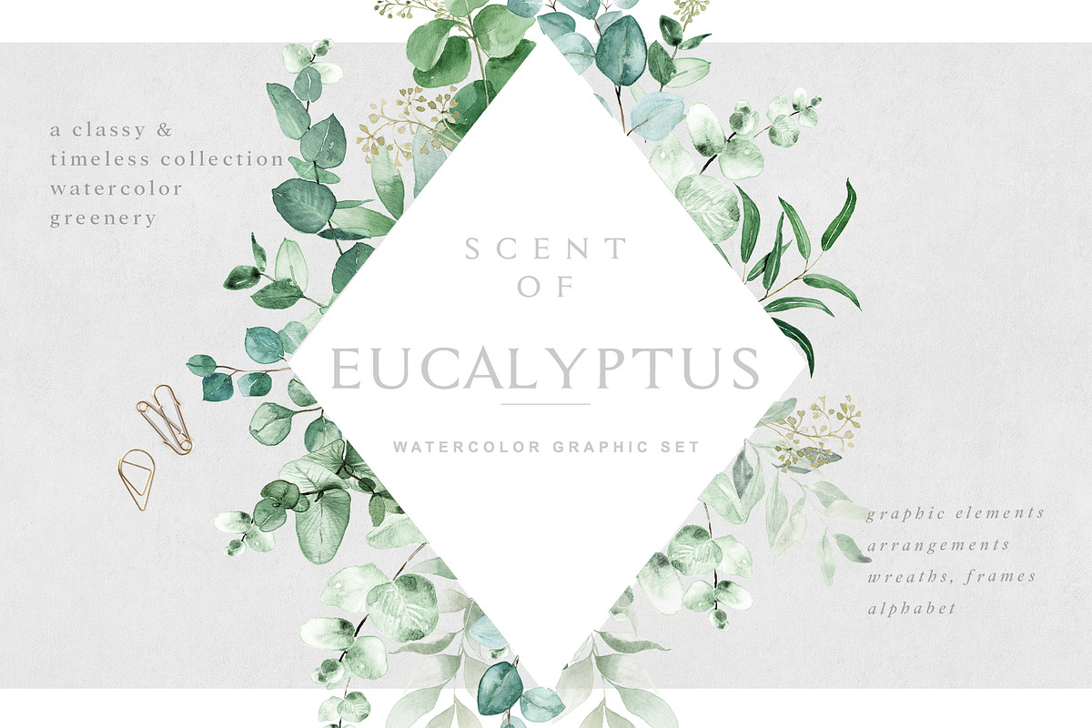 Scent of Eucalyptus - Graphic Set, an Illustration by studioequinox (Photo 1 of 21)