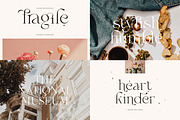 Modern Elegant Font Bundle 2, a Serif Font by Sans & Sons (Thumbnail 3 of 11)
