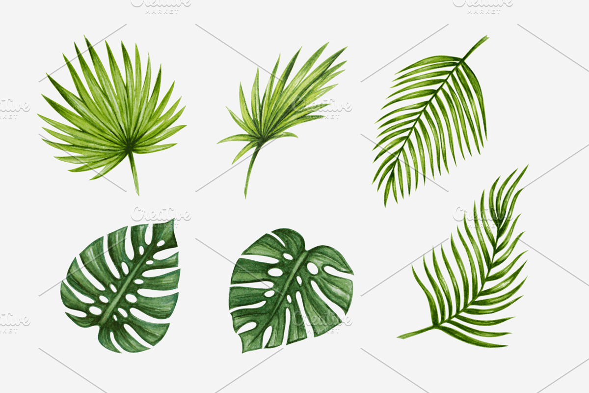 Vector Watercolor Tropical set, a Decorative Illustration by Bigio Designs (Photo 2 of 4)
