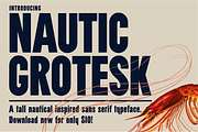Nautic Grotesk - Modern Display Font, a Sans Serif Font by Bnick (Thumbnail 1 of 12)