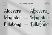 Arctiflow -Modern Serif Font, a Serif Font by Brightone (Thumbnail 3 of 10)