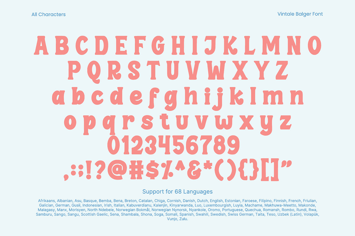 Vintale Balger, a Serif Font by yumnatype (Photo 8 of 10)