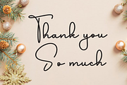 Belgian Signature, a Handwritten Font by FreshTypeINK (Thumbnail 6 of 8)