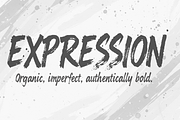 Elanova Bold Handcrafted Brush, a Sans Serif Font by artisans (Thumbnail 6 of 7)