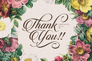 Candlescript Pro, a Script Font by Vast (Thumbnail 5 of 5)