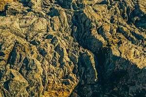Rocky coast featuring acadia, national park, and atlantic ocean