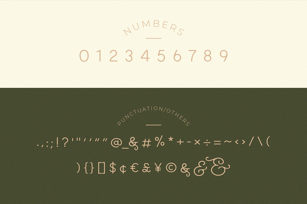 Classy Taylor Typeface, a Serif Font by CCS Type (Photo 20 of 24)