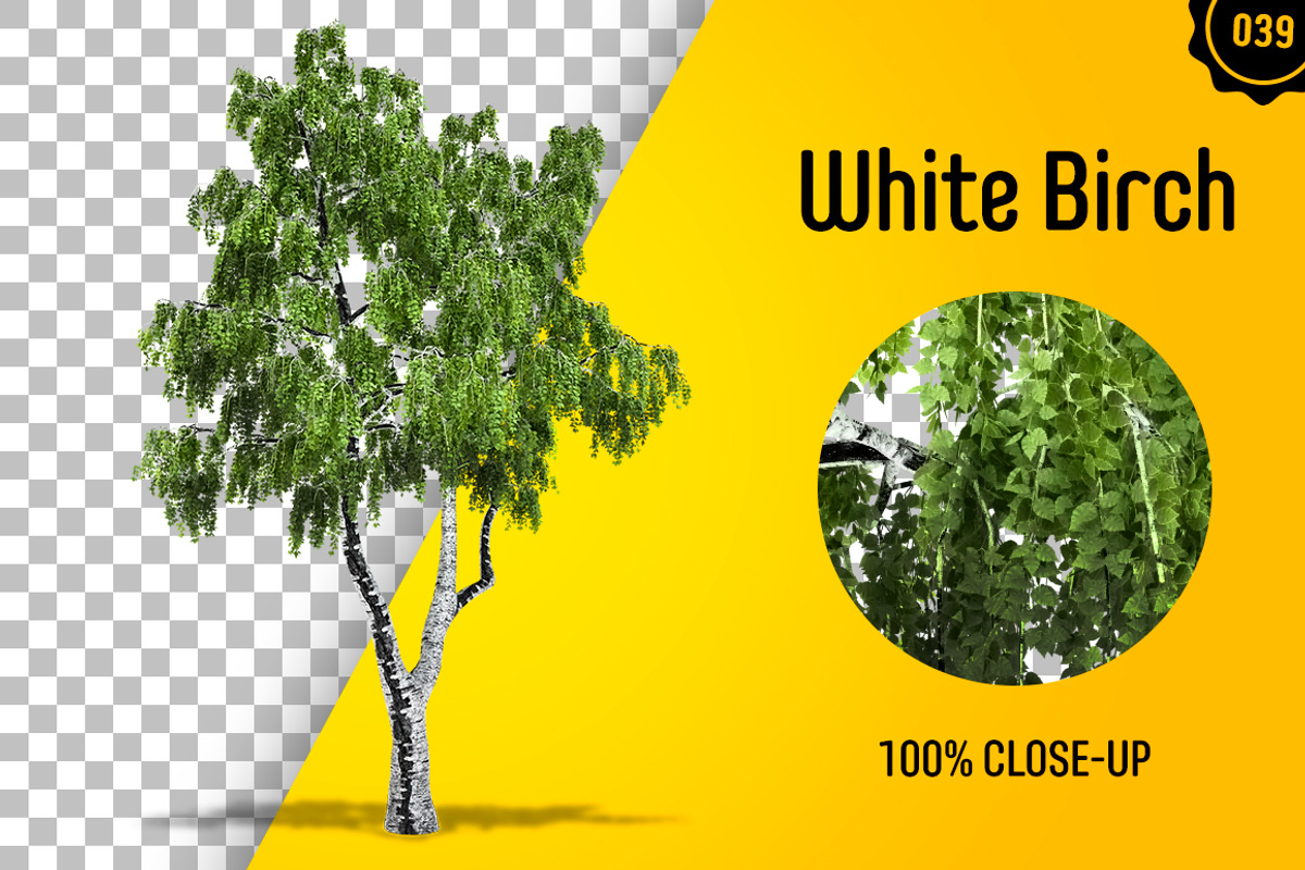 CUT OUT TREES - 60 PCS BUNDLE, a Packaging Mockup by 3DSTORE (Photo 40 of 63)