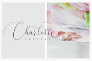 Argentina Script, a Script Font by Megatype (Thumbnail 6 of 10)