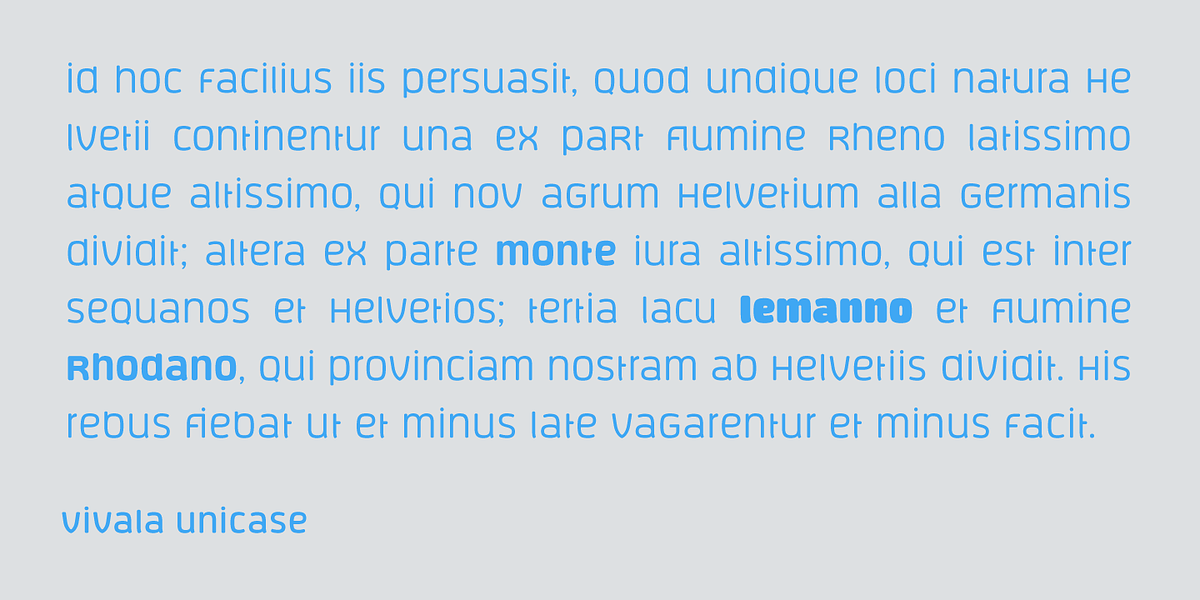 Vivala Unicase, a Sans Serif Font by VivalaType (Photo 5 of 7)