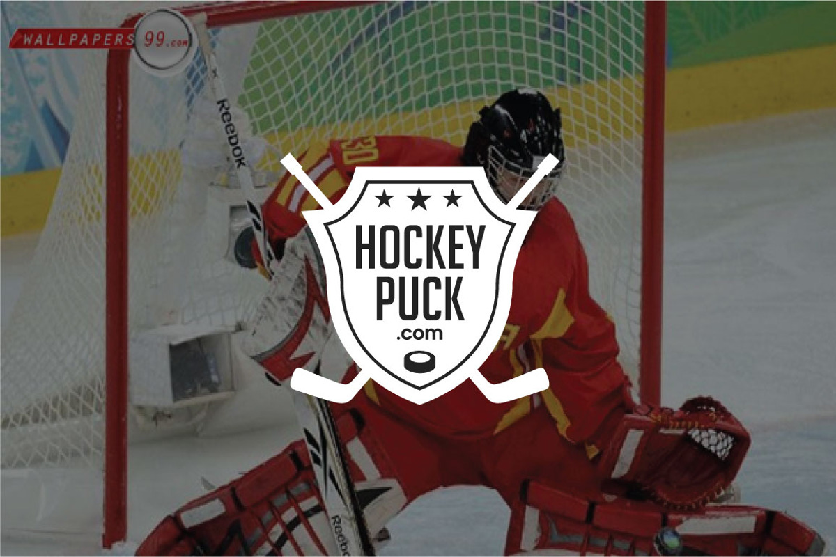HOCKEY- LABELS & LOGOS VOL1, a Branding & Logo Template by shazi (Photo 12 of 12)