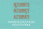 ROUNDLANE, a Serif Font by Bagerich Type Foundry (Thumbnail 2 of 6)