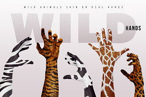 Wild Hands