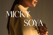 Readymates Elegant Serif Font, a Serif Font by UICreative (Thumbnail 11 of 13)