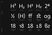 TT Wellingtons, a Sans Serif Font by TypeType (Thumbnail 11 of 15)