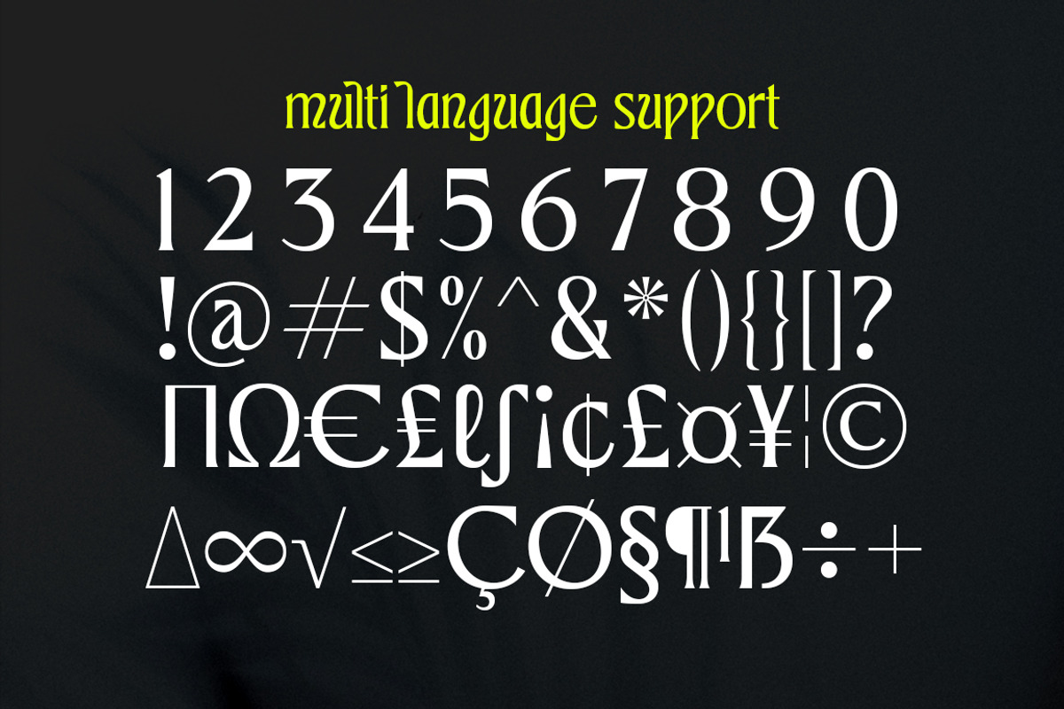 Galliso, a Serif Font by Dora Typefoundry (Photo 11 of 17)