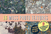 16 Moss Photo Textures