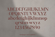 Wastinger Elegant Display, a Serif Font by Typetemp Studio (Thumbnail 15 of 16)