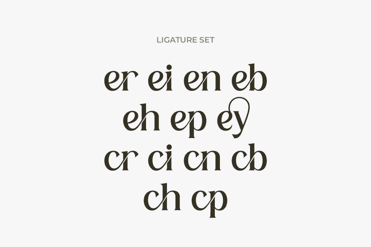 Herkey Display Serif Font, a Serif Font by Burhan Afif (Photo 9 of 10)