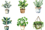 Watercolor Home Plants Clipart, an Illustration by Designking (Thumbnail 2 of 5)